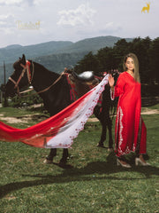 Scarlet Radiance Embroidered Suit Set