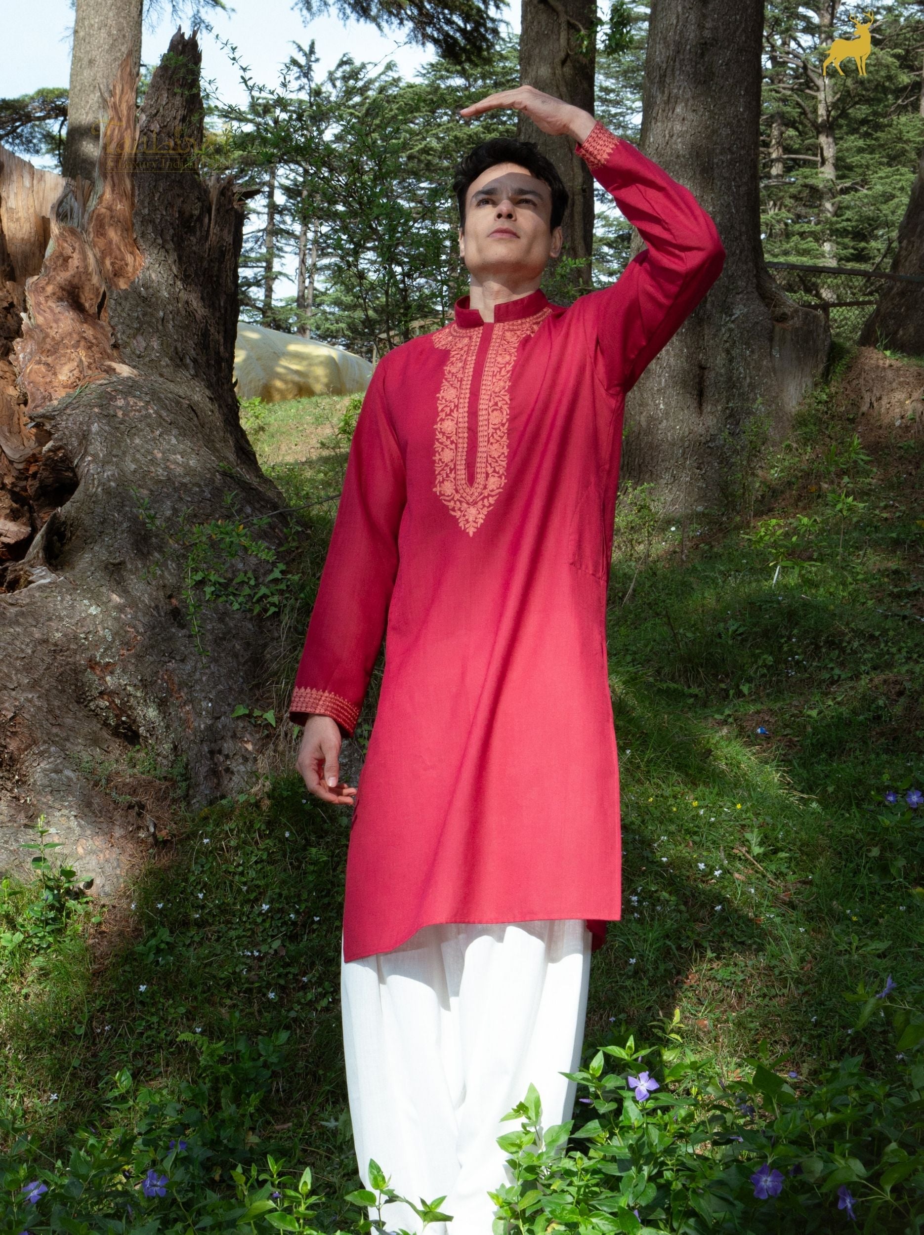 Burgundy Silk Blend Embroidered Kurta with Tapered Salwar