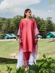 Sia Chanderi Silk Hand-Embroidered Suit Set