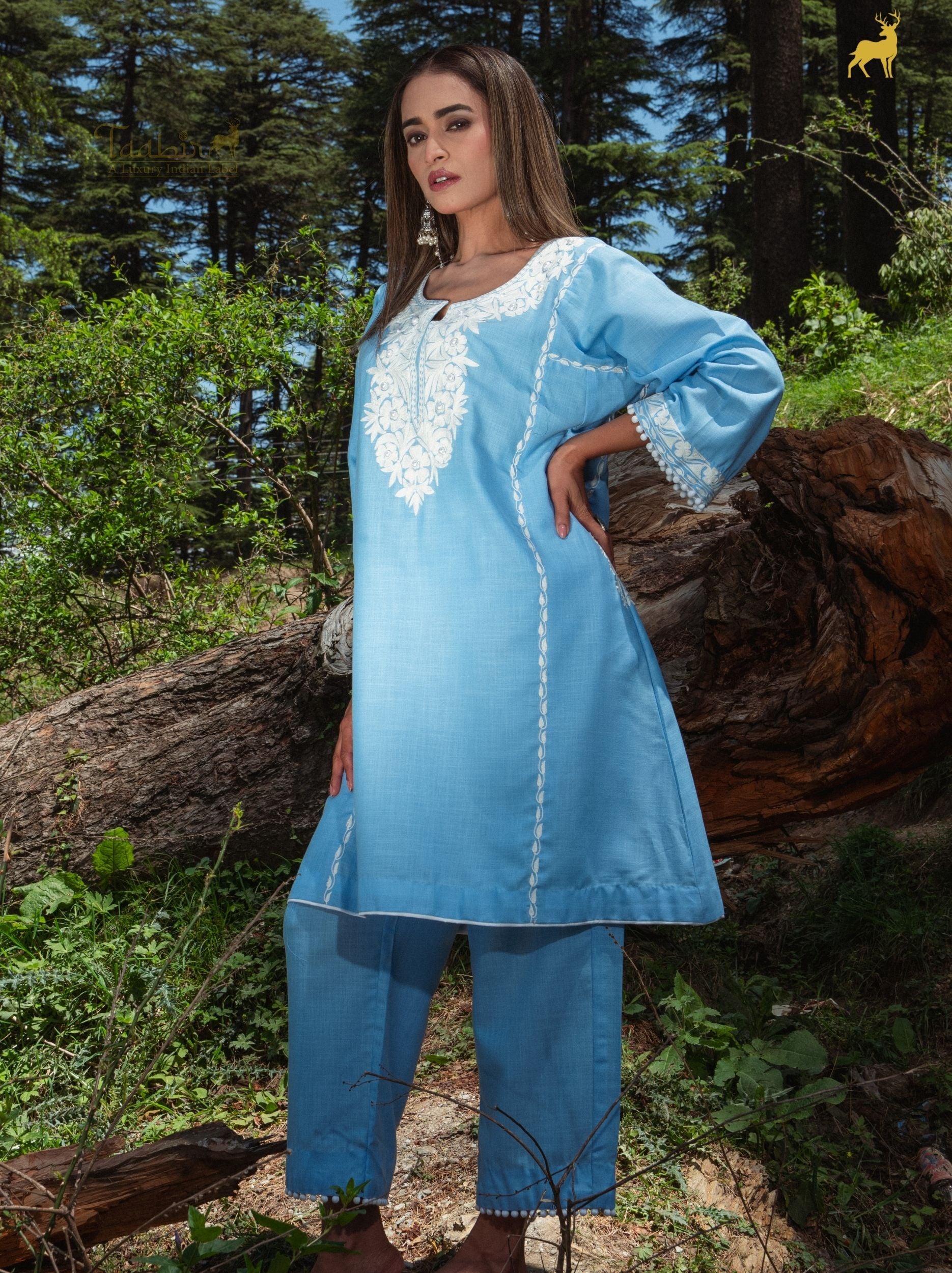 Aria Sky Blue Hand-Embroidered Co-ord Set