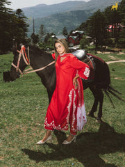 Scarlet Radiance Embroidered Suit Set