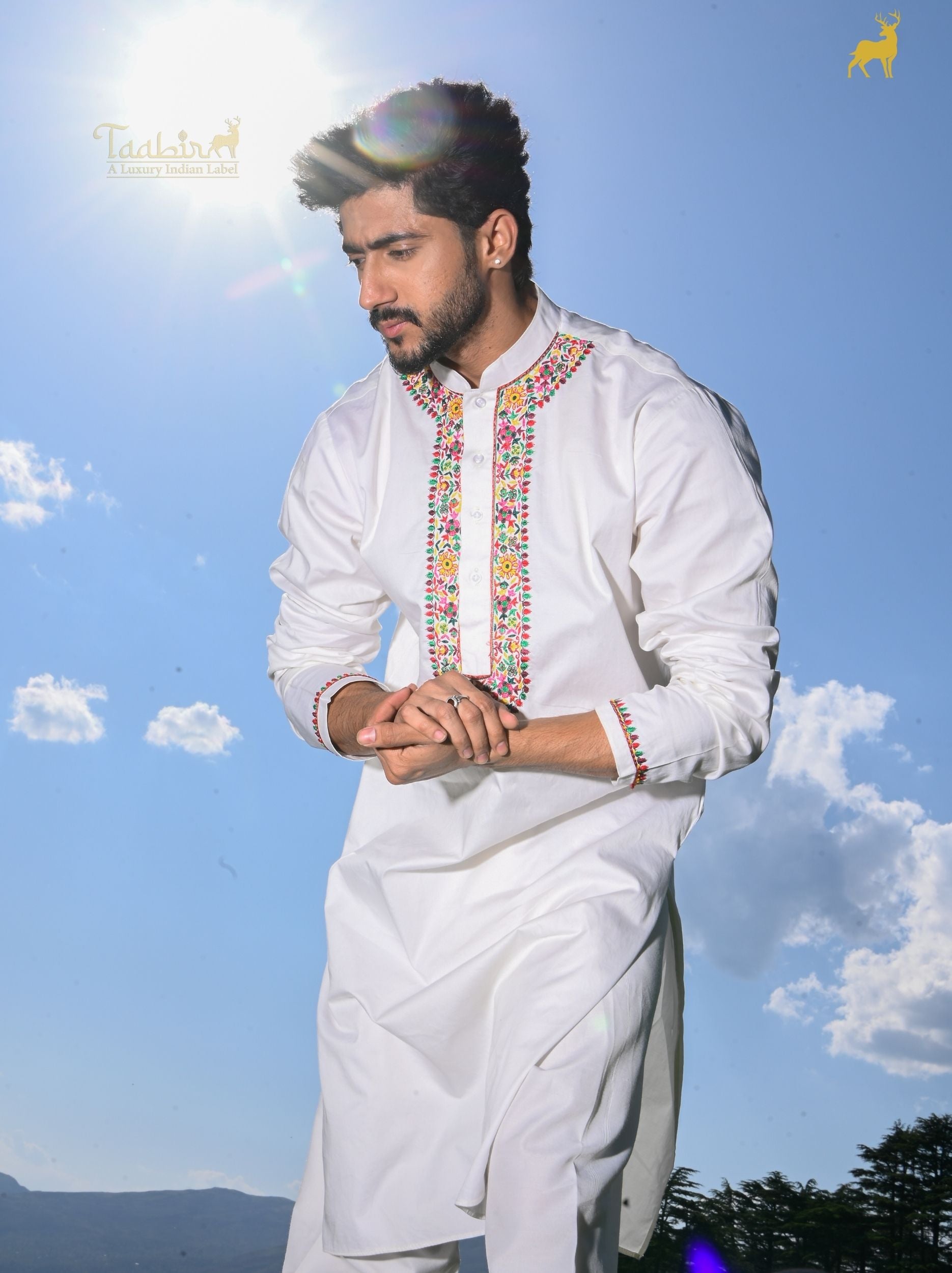 Alpine Bloom Multicolor Embroidered Kurta Set