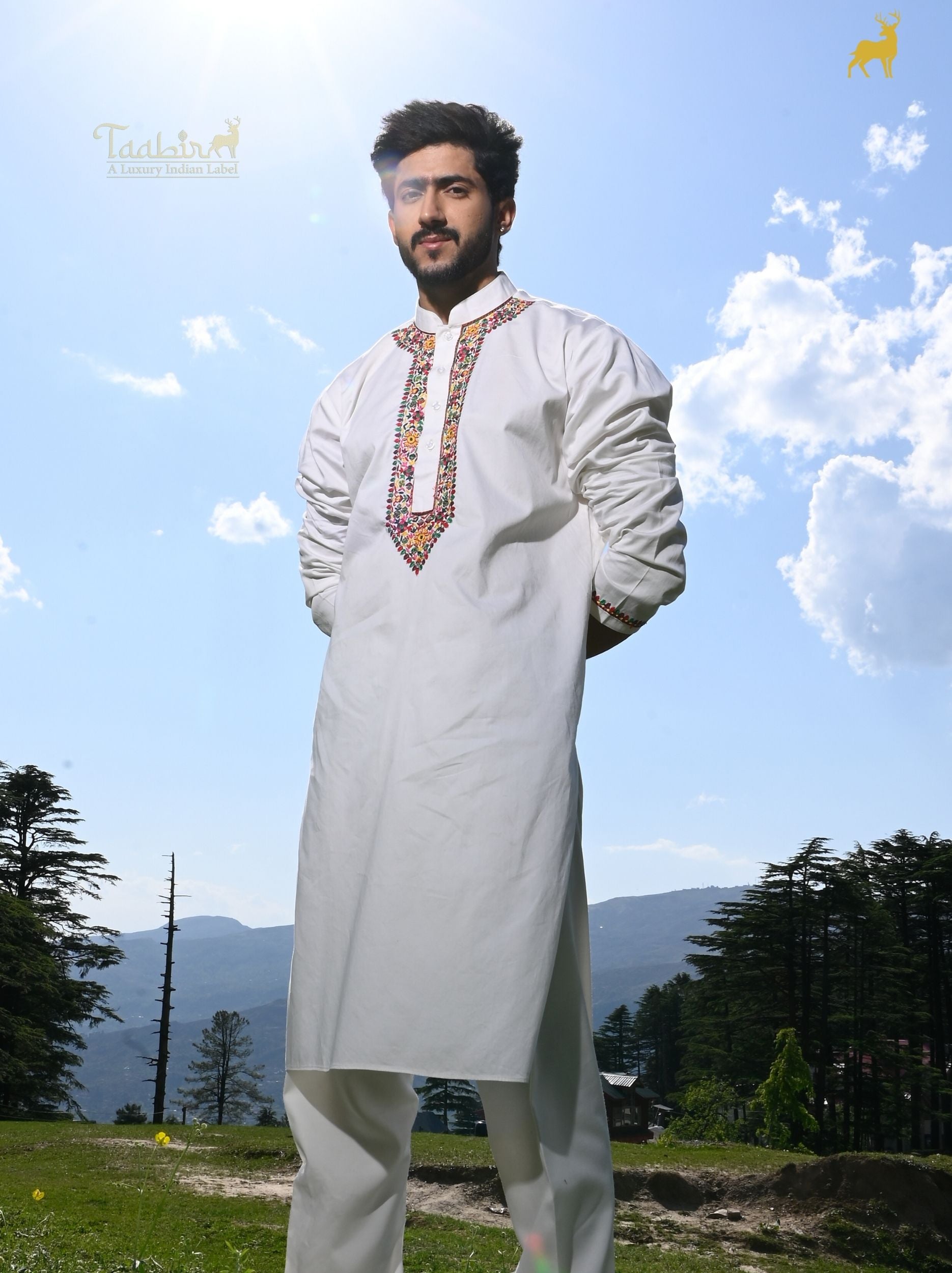 Alpine Bloom Multicolor Embroidered Kurta Set