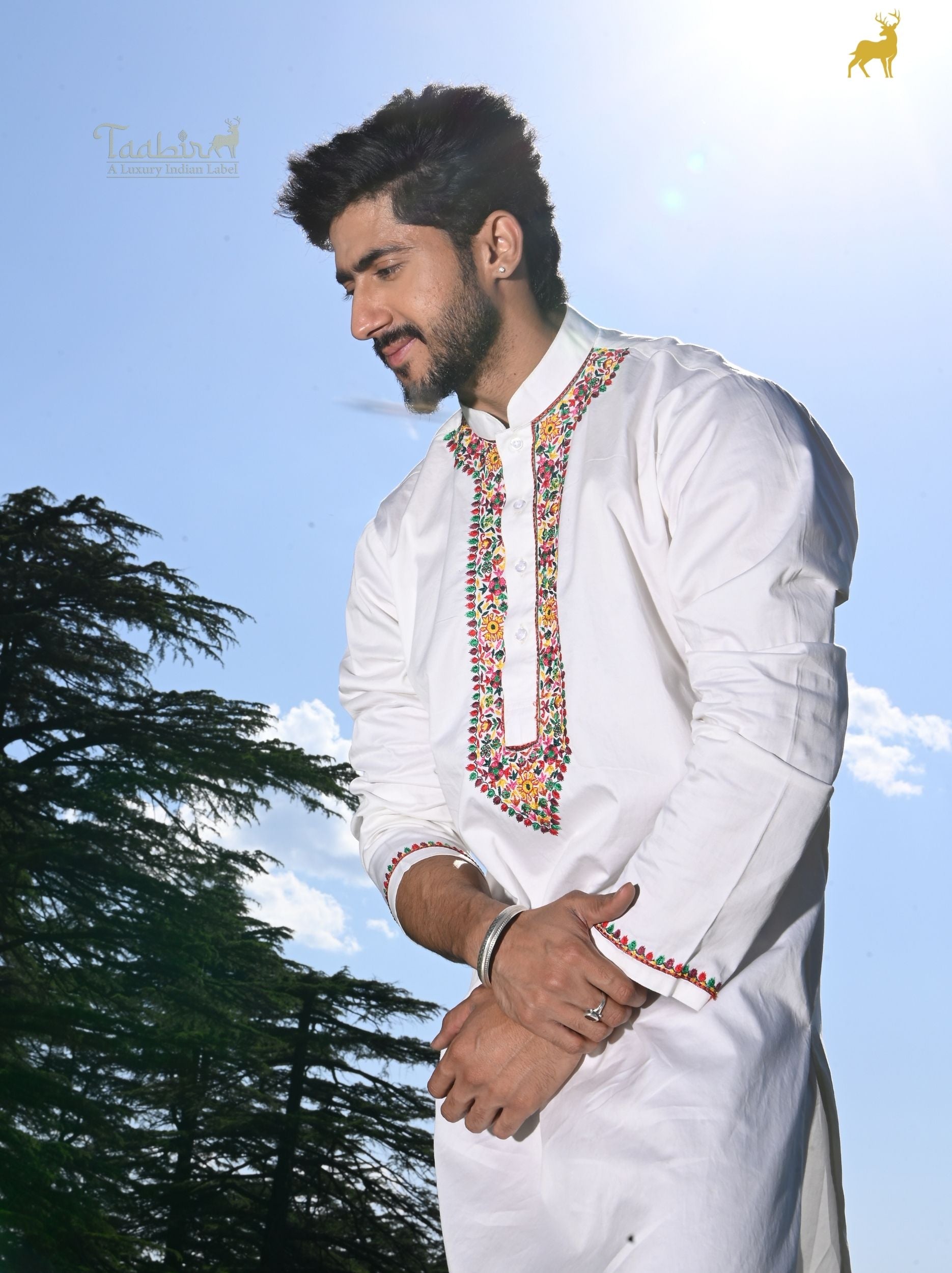 Alpine Bloom Multicolor Embroidered Kurta Set