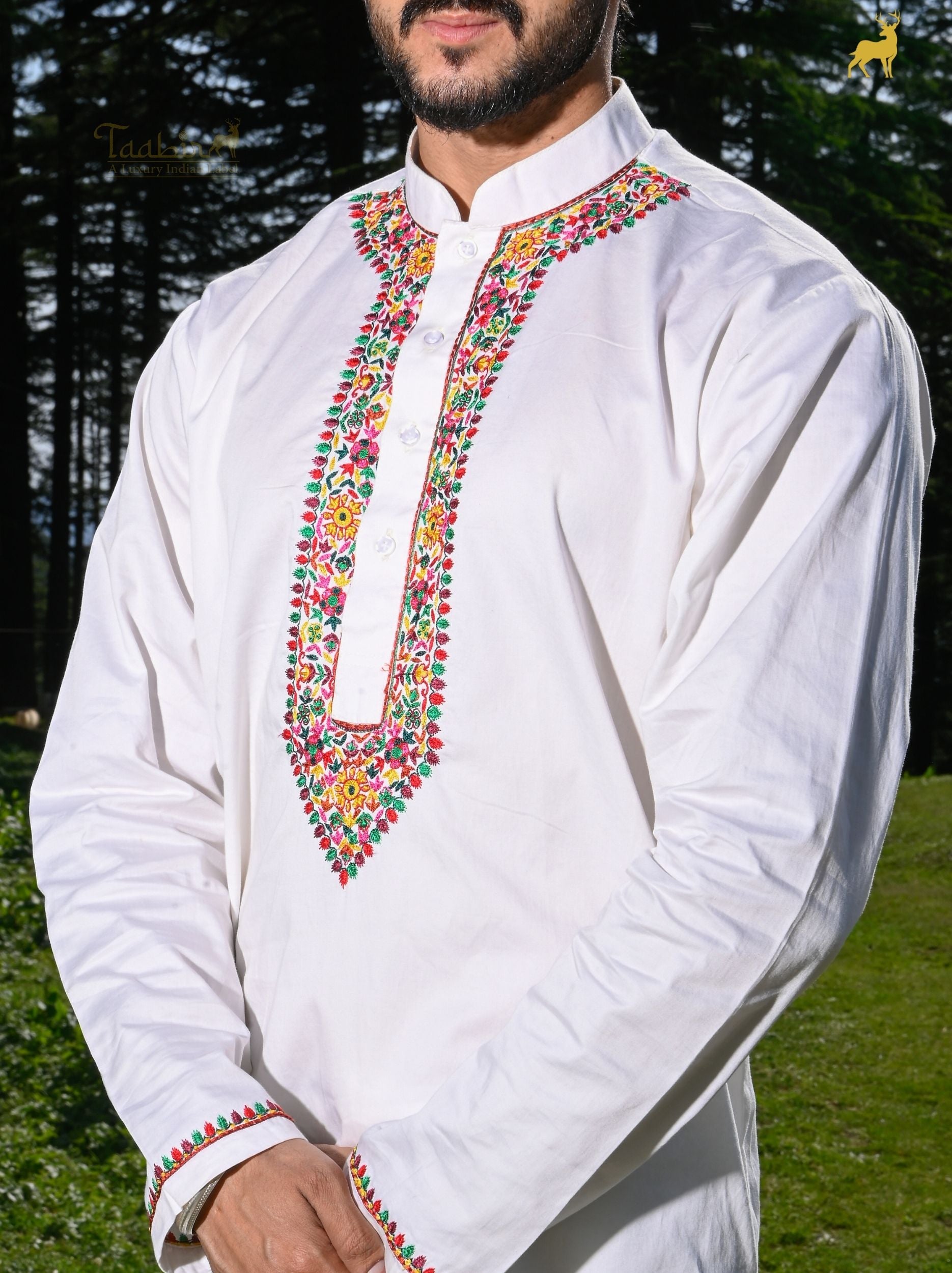 Alpine Bloom Multicolor Embroidered Kurta Set