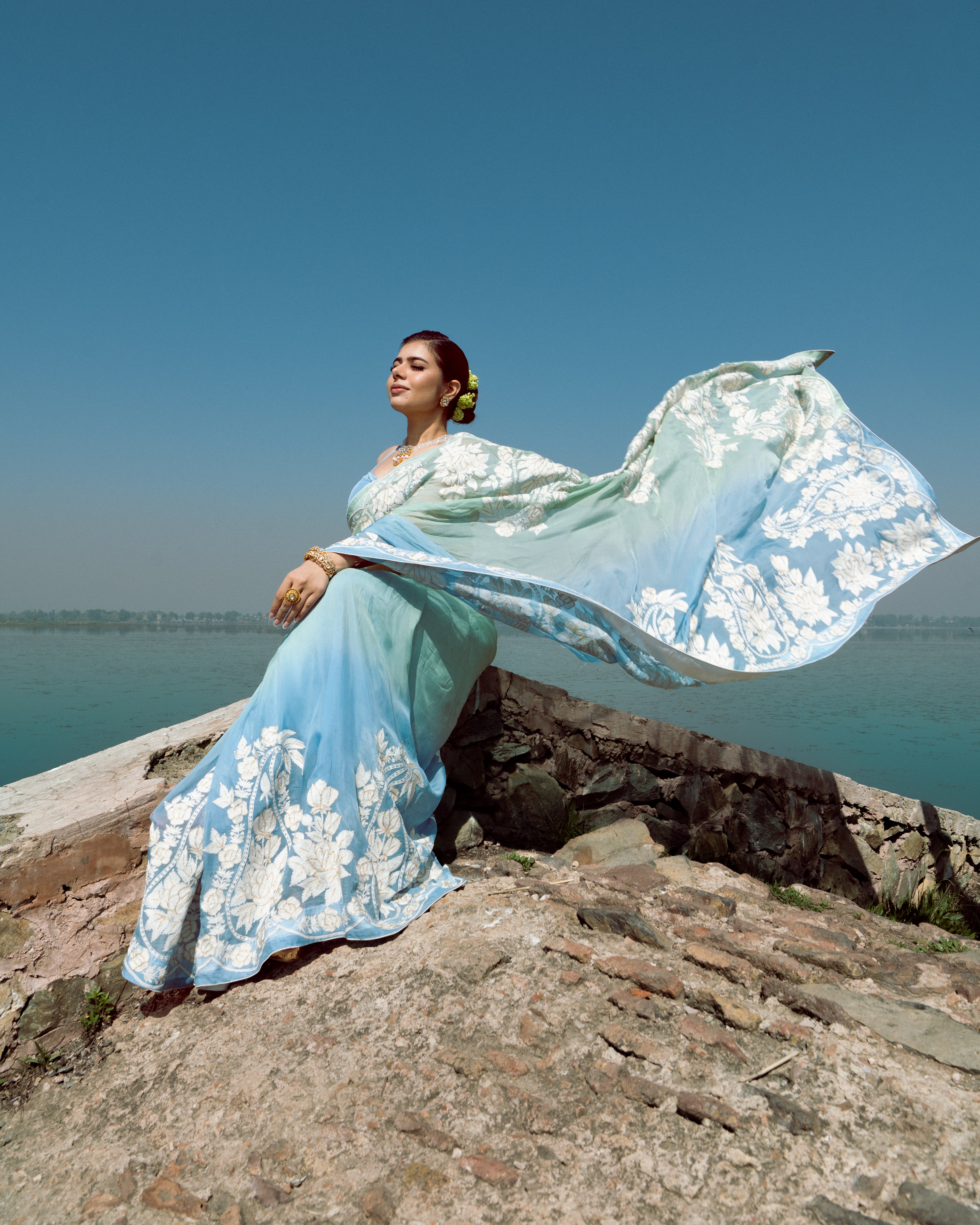 Ombré Blue Organza Saree
