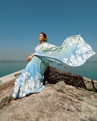 Ombré Blue Organza Saree