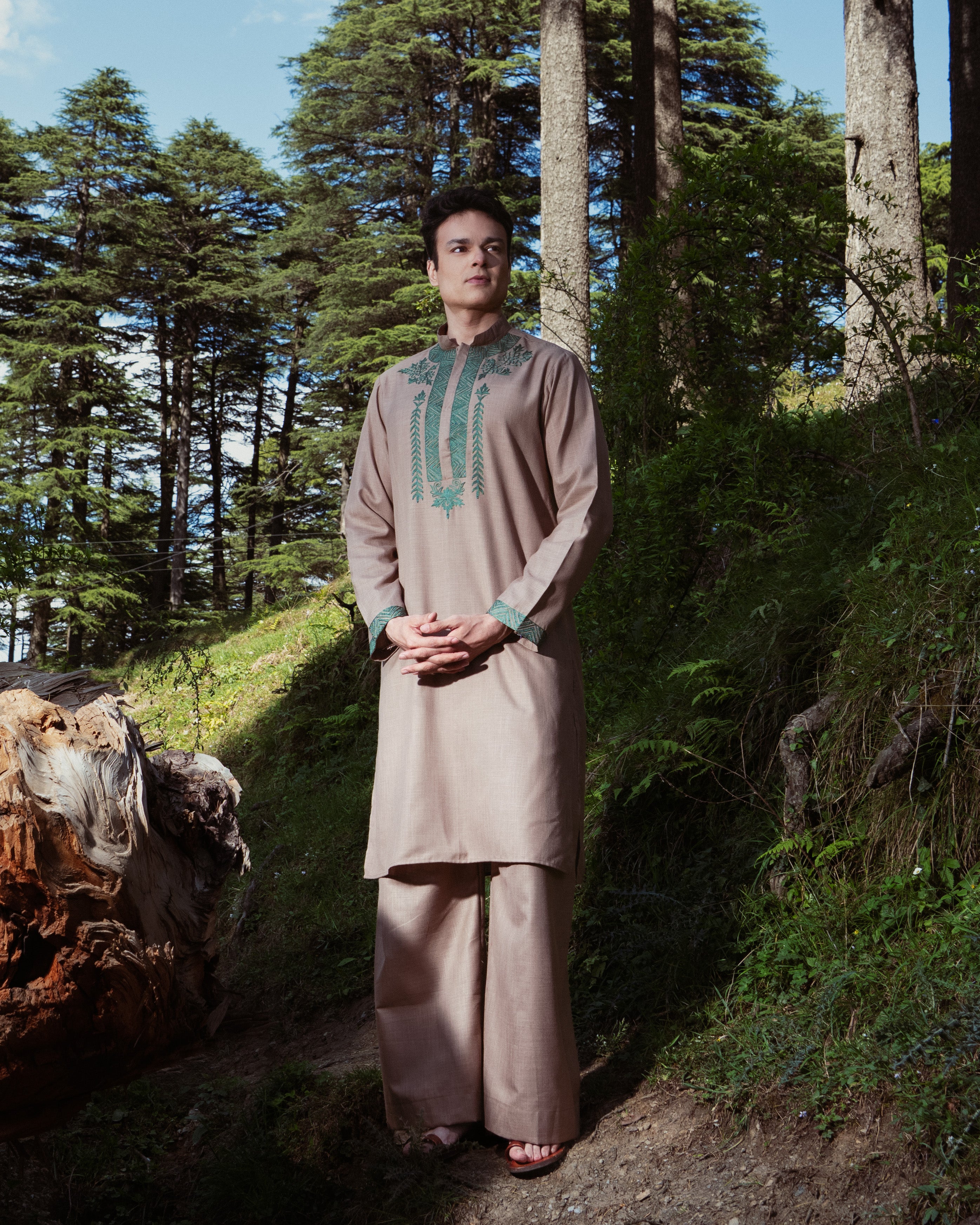 Kashmiri Aari in verdant green,